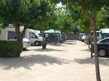 El Camell Pineda de Mar