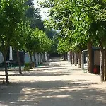 El Camell Pineda de Mar