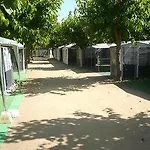 Hotel El Camell 2*