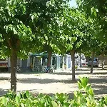 El Camell Pineda de Mar