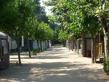El Camell Pineda de Mar