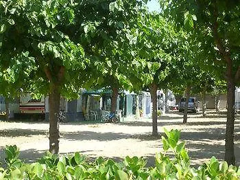 El Camell Pineda de Mar