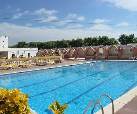 El Camell Pineda de Mar